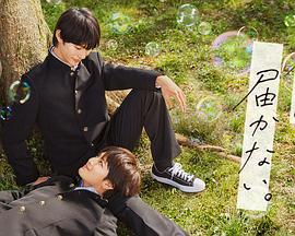 站长优化seo营销神器